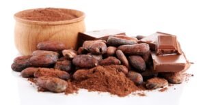 Cocoa Powder Supplier