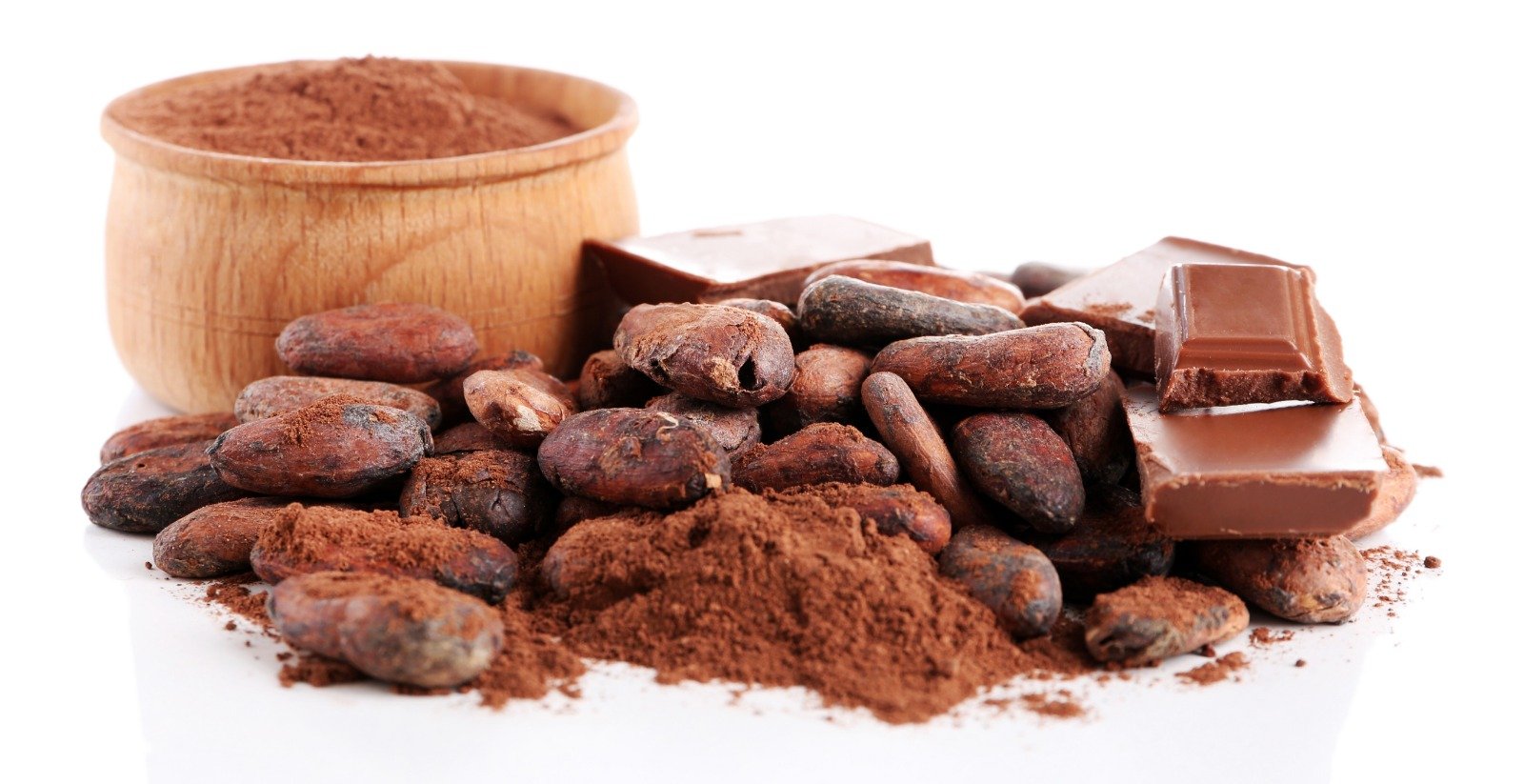 Cocoa Powder Supplier