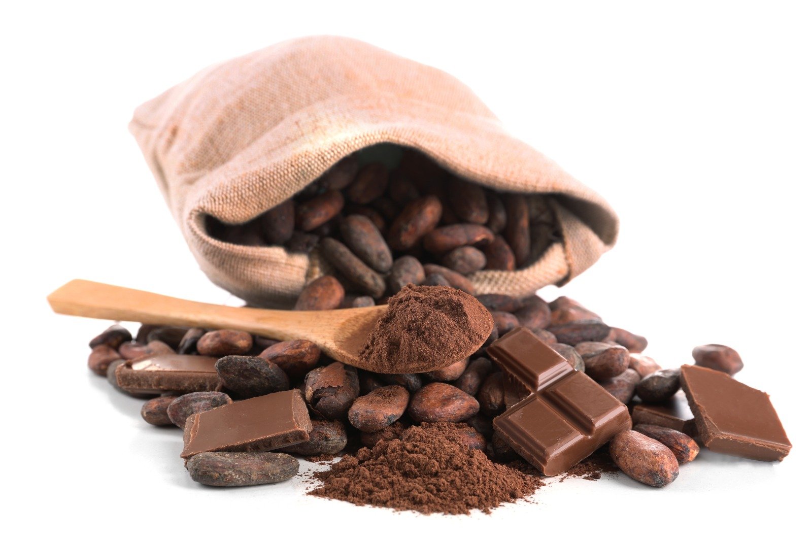 Cocoa Powder Supplier
