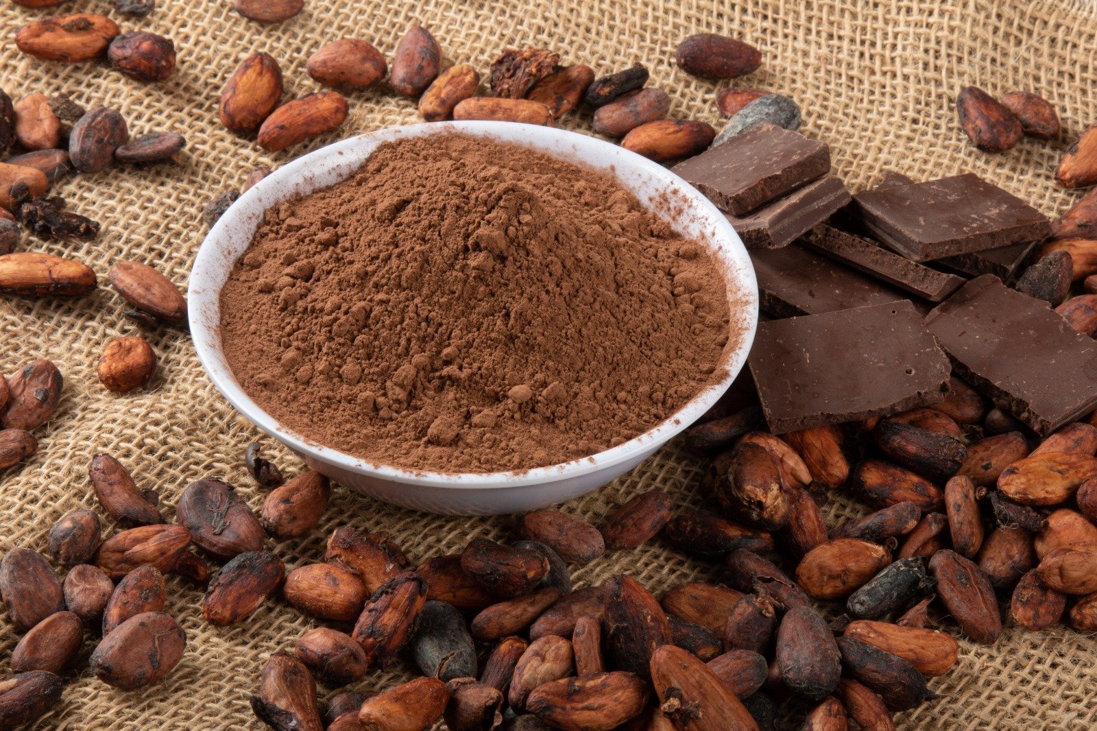 Cocoa Powder Supplier