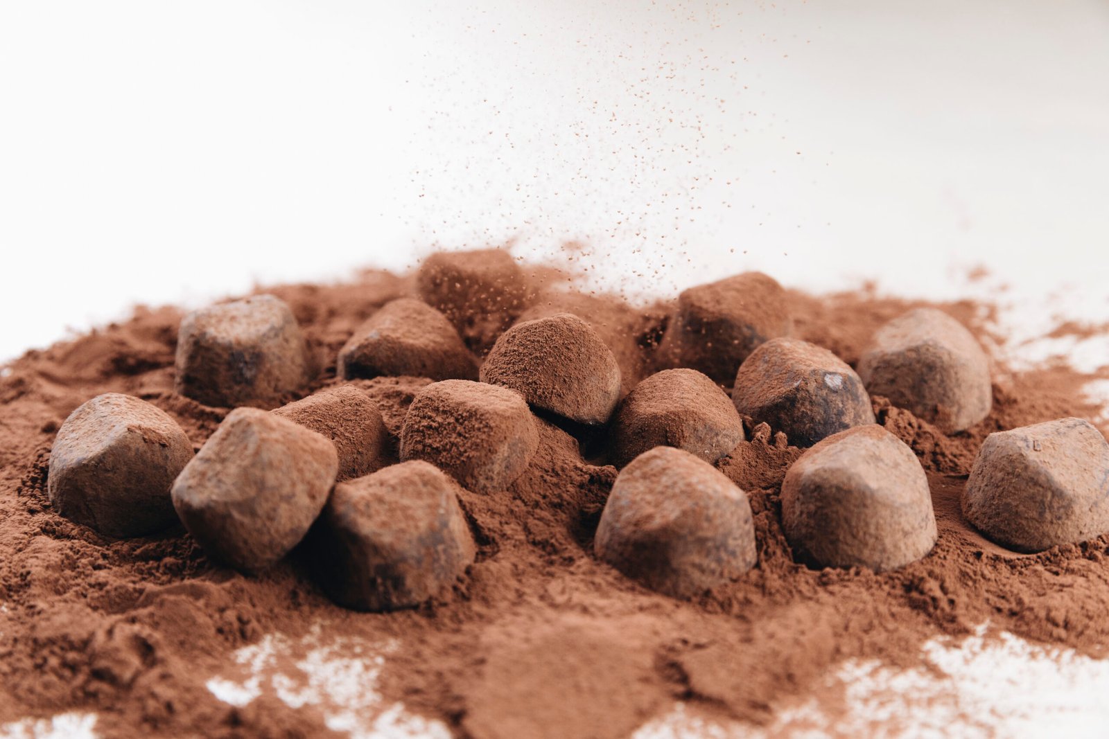 Cocoa Powder Supplier