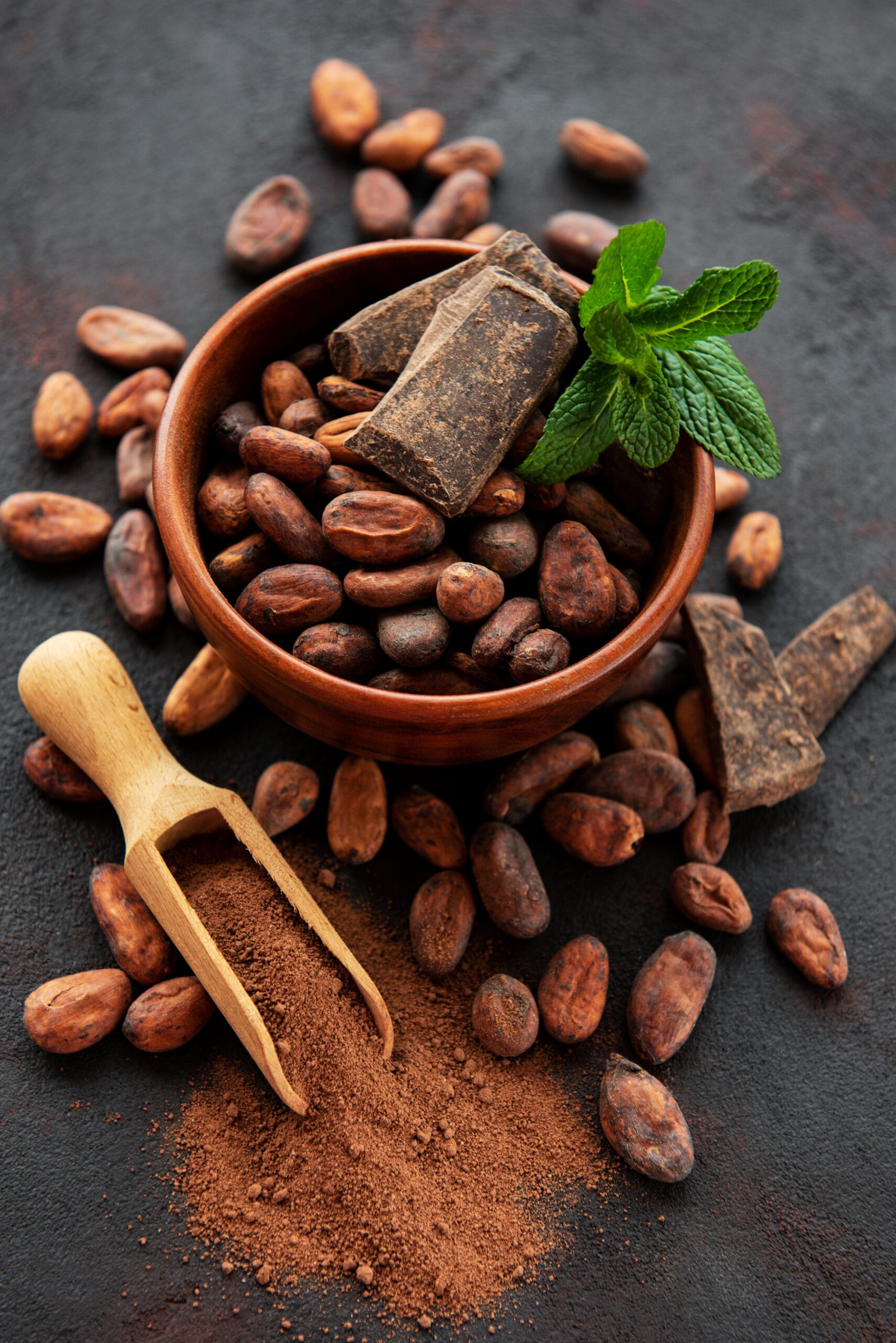 Cocoa Powder Supplier