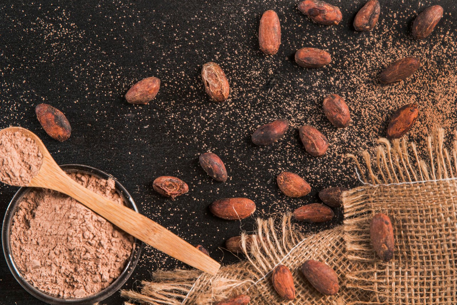 Cocoa Powder Supplier