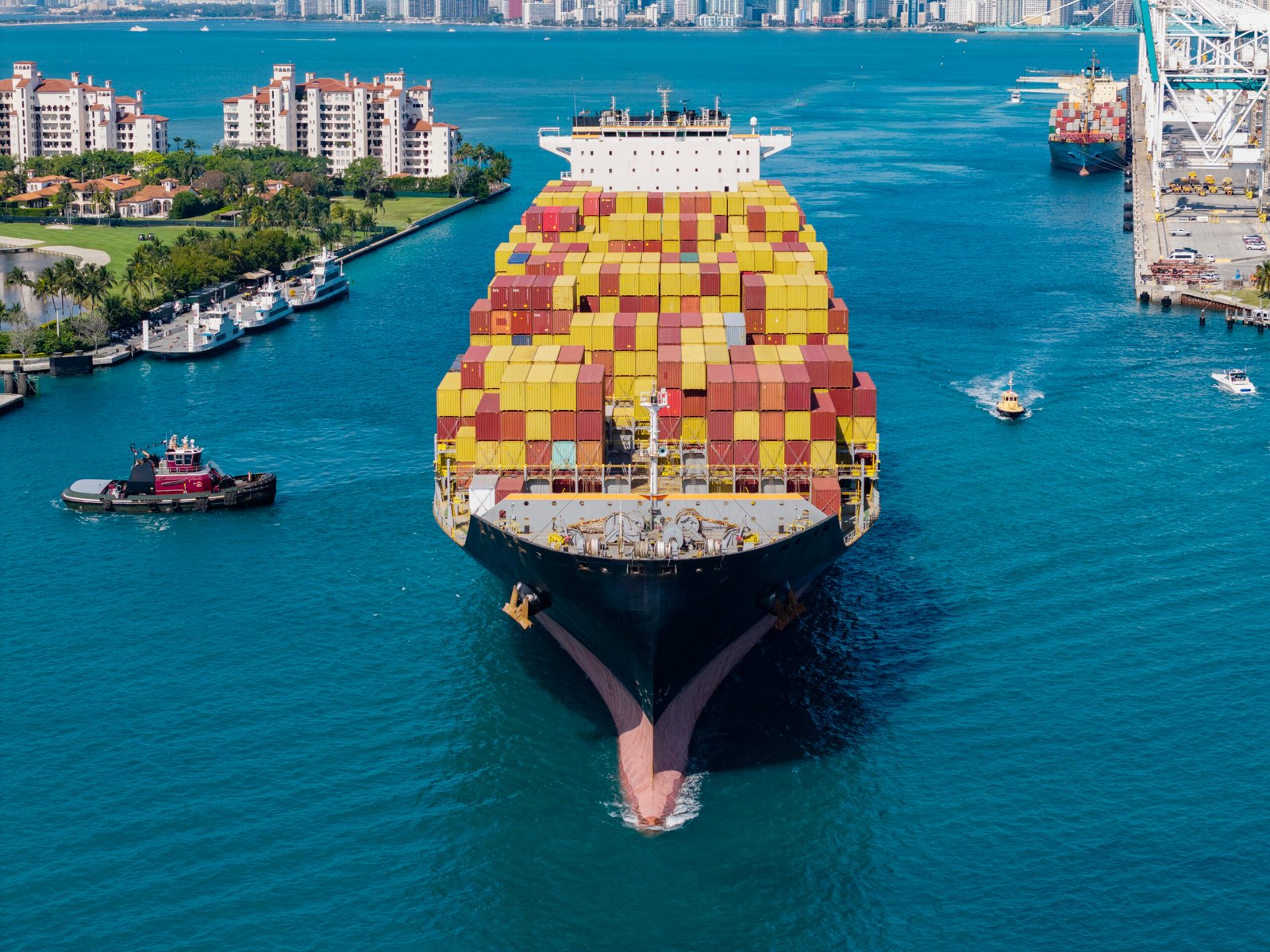 Cocoa Powder Supplier