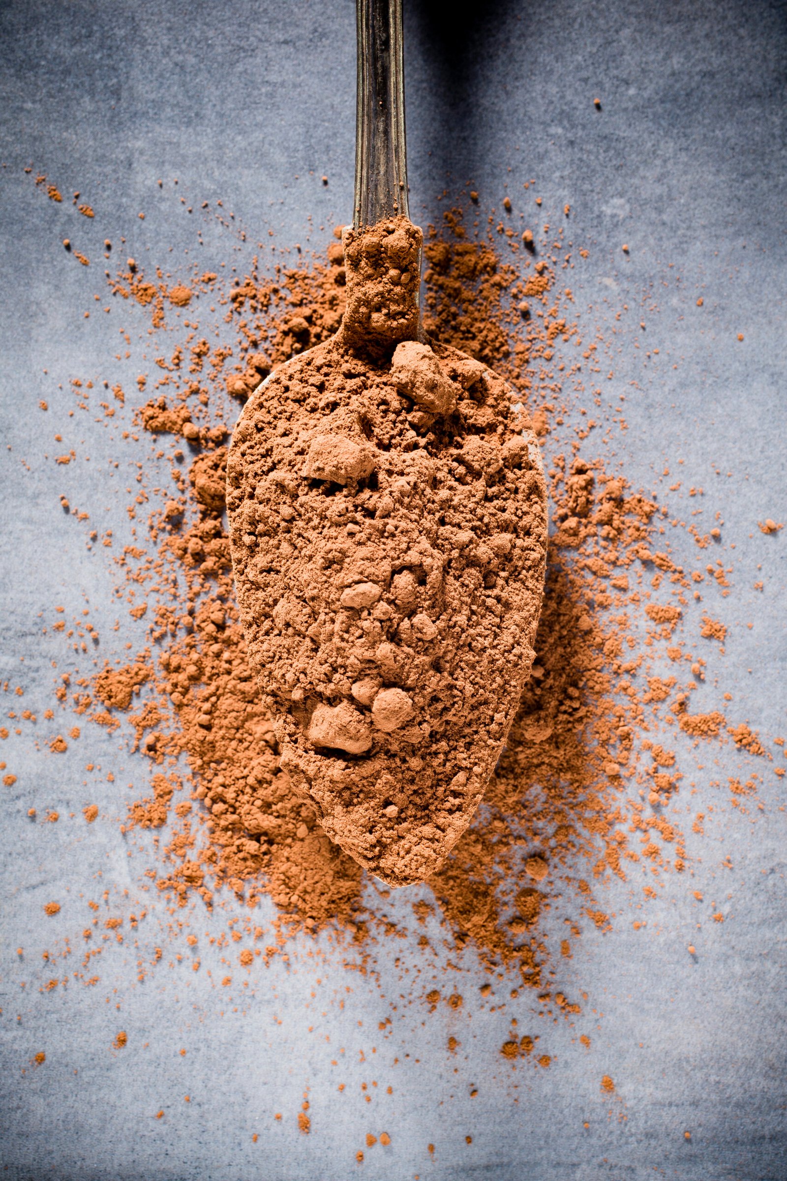 Cocoa Powder Supplier