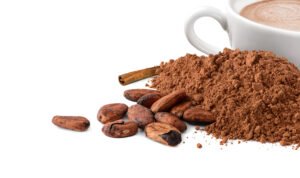 Cocoa Powder Supplier