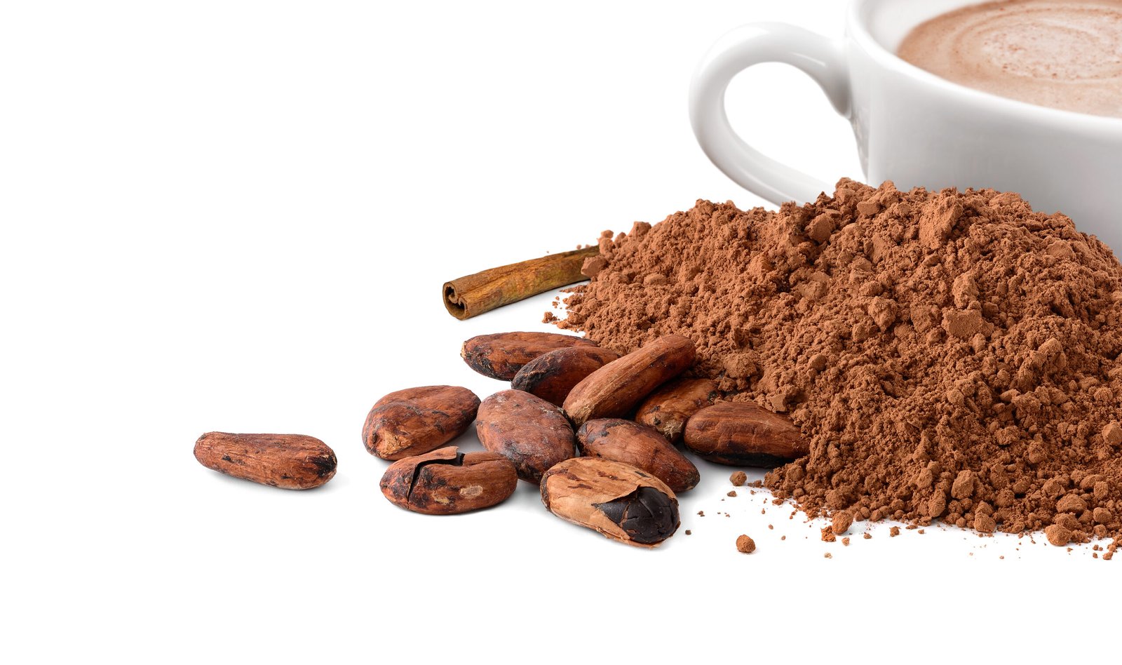 Cocoa Powder Supplier