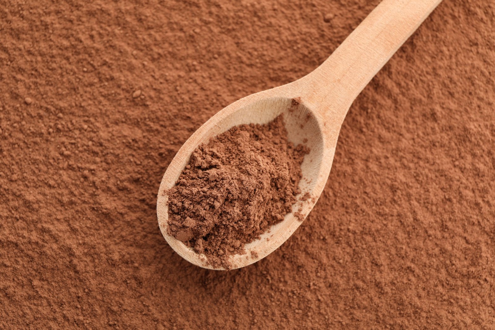 Cocoa Powder Supplier